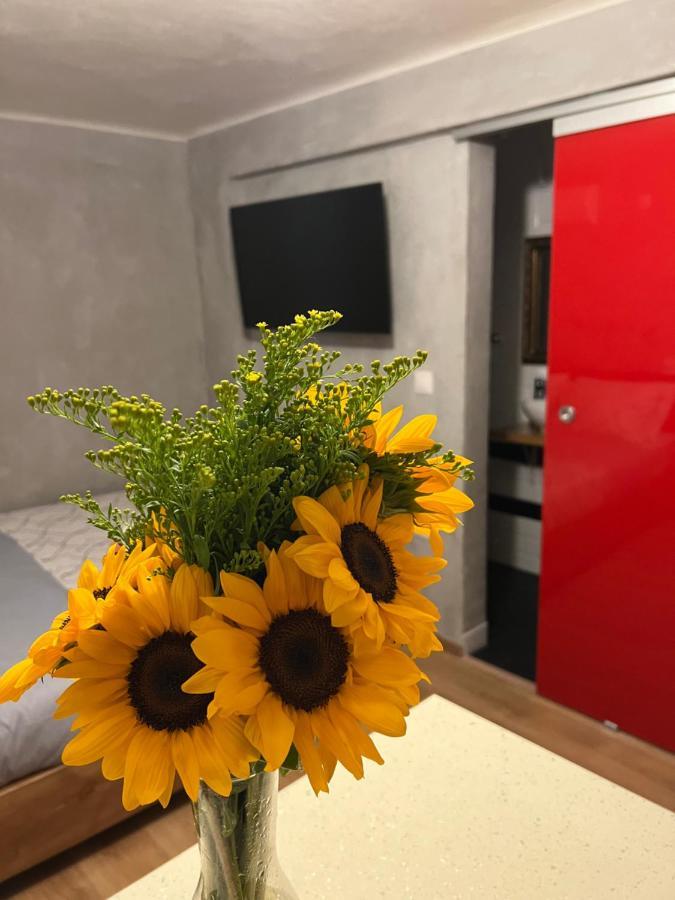 Cozy Tiny Apartment In The Heart Of Plaka Афины Экстерьер фото